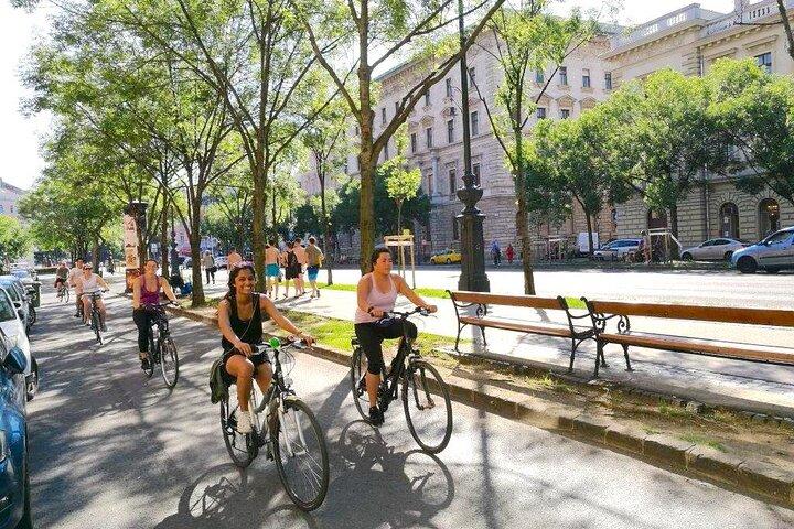 Budapest & Buda Castle E-bike Tour with a local guide
