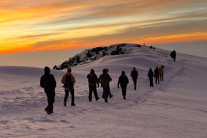 Machame Route Kilimanjaro Trek – 7 Days to Africa’s Highest Peak.