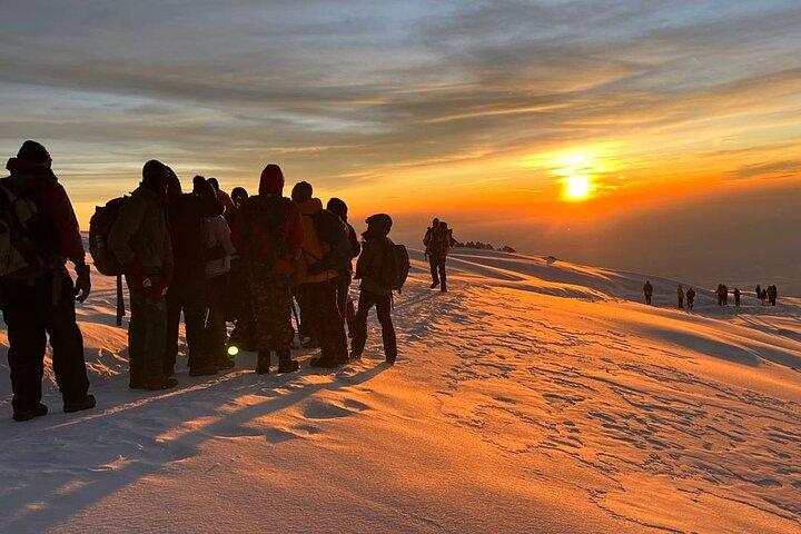 Machame Route Kilimanjaro Trek – 7 Days to Africa’s Highest Peak.