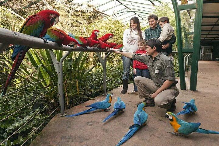 Explore Temaiken: Biopark Tour Experience