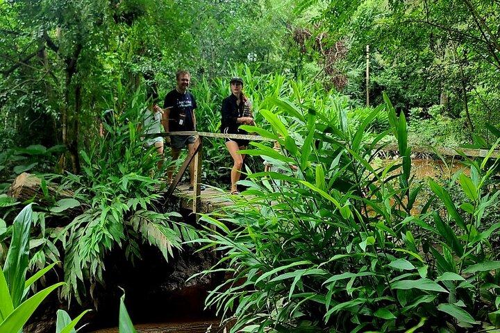 Delta River Kayak and Island Adventure from Tigre