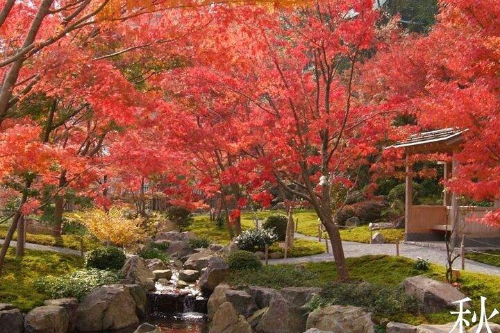 Day Tour to Yutoku Inari Shrine & Sachihime Sake Brewery| Fukuoka