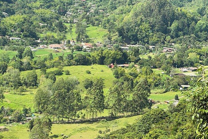 Cocora Valley Tour - Coffee Estate Tour - Salento Tour