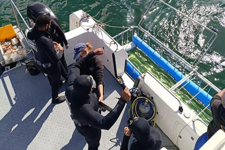 Shark Cage Diving Adventure In Cape Town with scuba