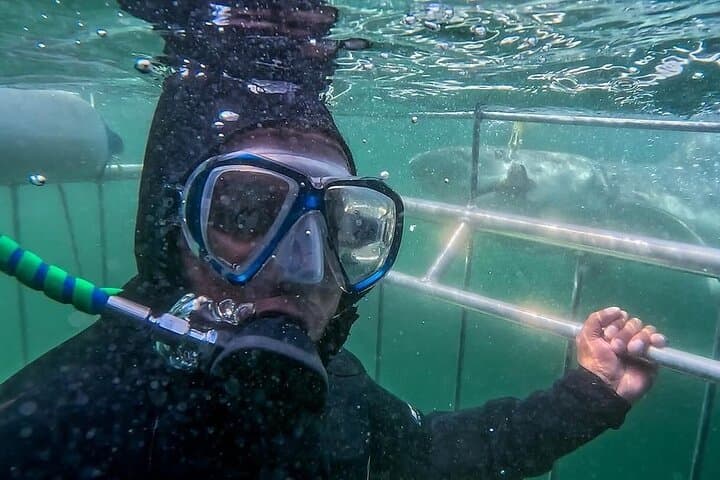 Shark Cage Diving Adventure In Cape Town with scuba