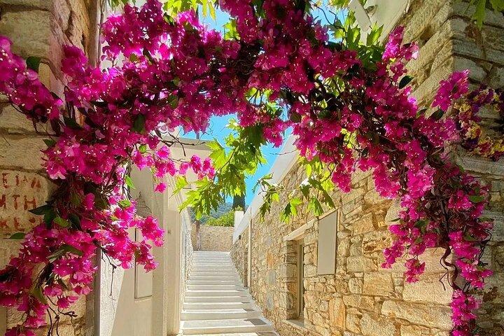 Naxos: Private Full Island 5-Hour Tour