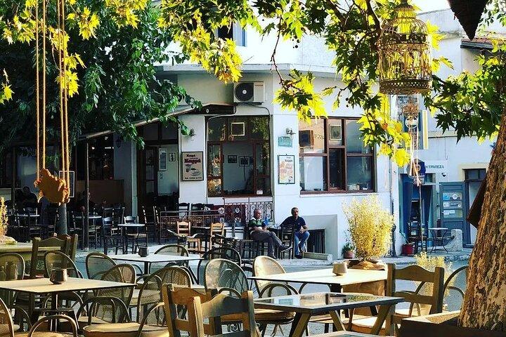Naxos Villages Private 4 Hour Tour