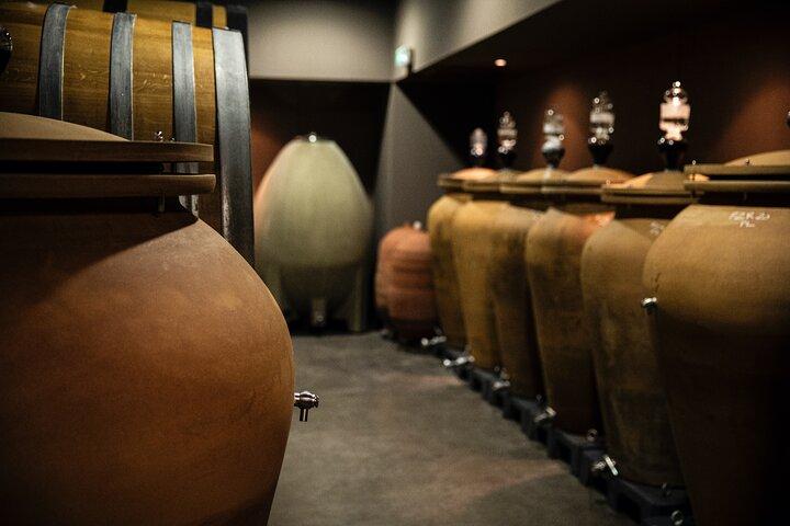 Château de Fieuzal, Pessac-Léognan: Visit and Tasting
