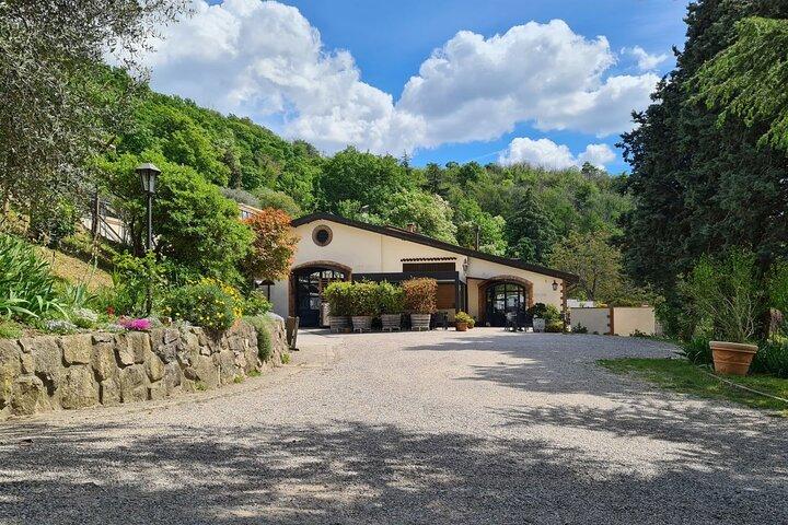Discover the Euganean Hills Wine and Traditional Flavors