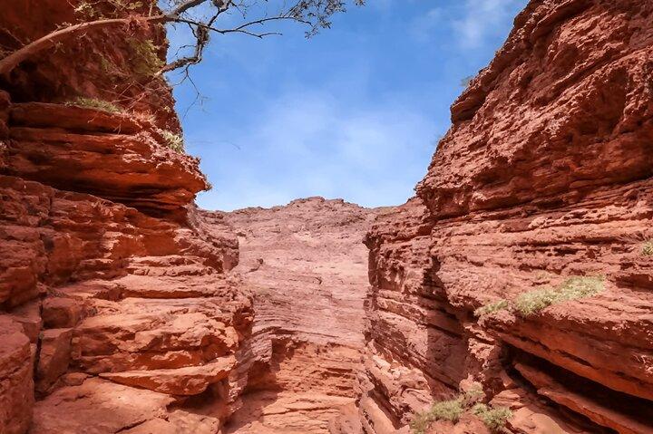 Excursion to Cafayate and Quebrada de las Conchas