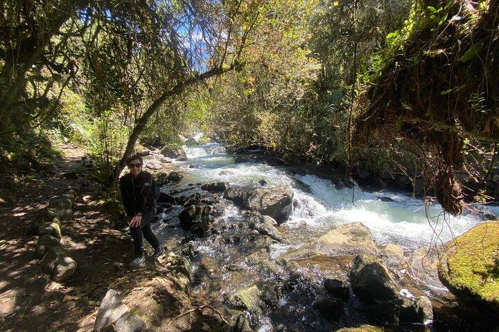 Papallacta Thermal Baths Day Trip from Quito