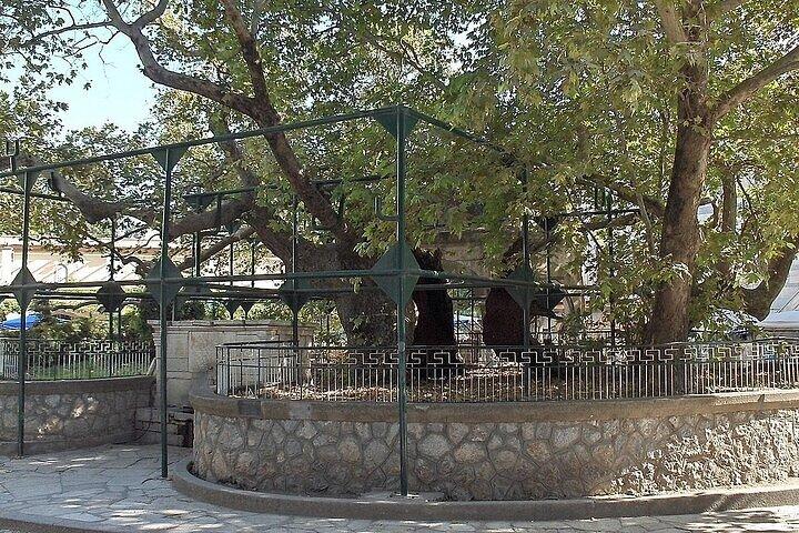 Bodrum Kos Same Day Return Ferryboat Ticket from the castle port
