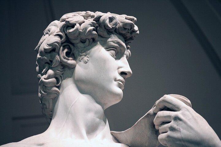 David & Academia Gallery Skip-Line Live Guided Tour Experience