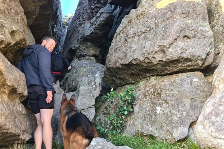 Cape Town: Table Mountain Hiking Tour With Pro Guide