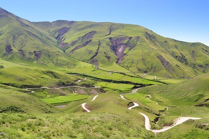 From Salta: Full-day tour to Cachi and Los Cardones National Park