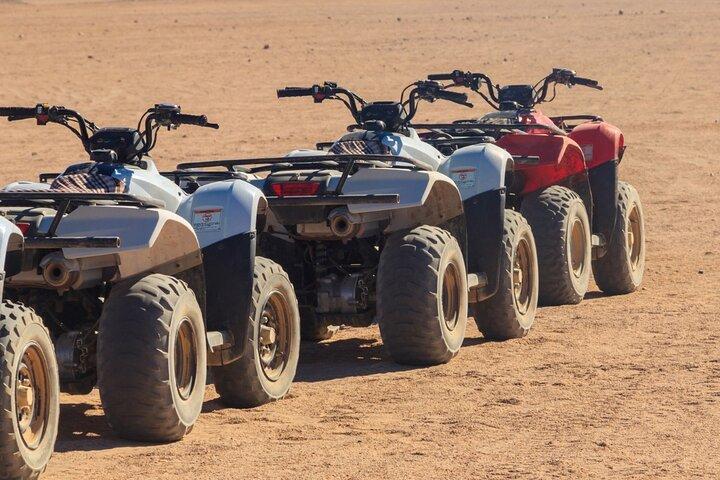 Sharm El Sheikh Desert Safari Quad, Camel Ride, Dinner&Stargazing