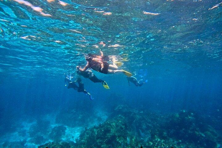 Roatan Private Snorkel Experience