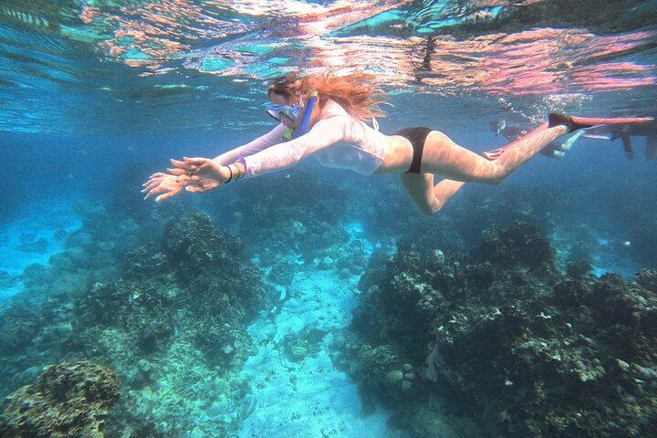 Roatan Private Snorkel Experience