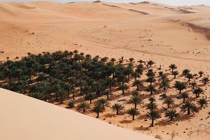 Liwa Full-Day Desert Safari Tour from Abu Dhabi – 4x4 Adventure