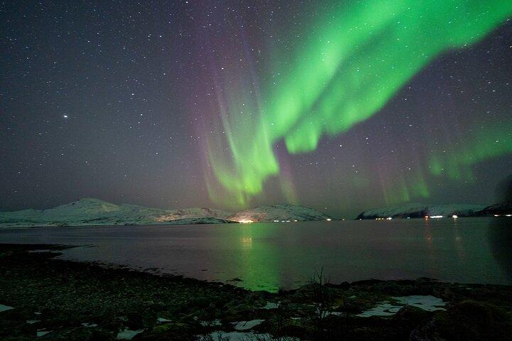 Northern Lights Chase Tour in Tromso