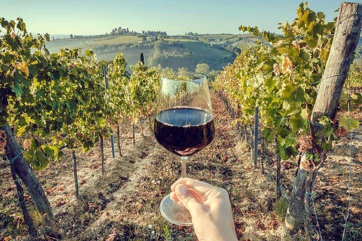 Rome Countryside Wine Tasting Tour with Private Driver and Guide