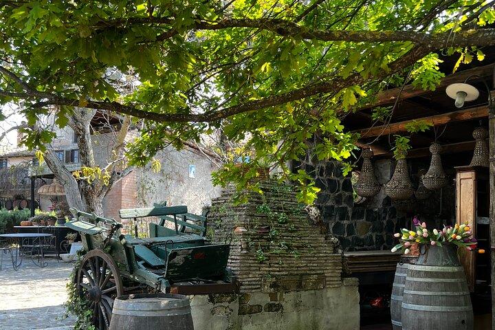 Rome Countryside Wine Tasting Tour with Private Driver and Guide
