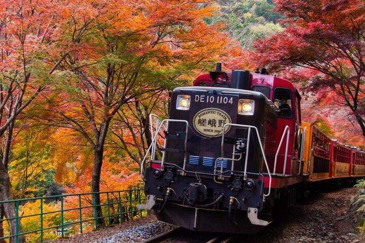 Kyoto Nara Arashiyama Bamboo Grove Scenic Railway Tour from Osaka