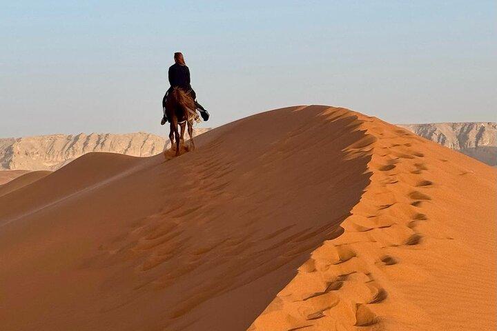 Horse Riding Experience in Riyadh | Tanomah | Jeddah | Al Ula