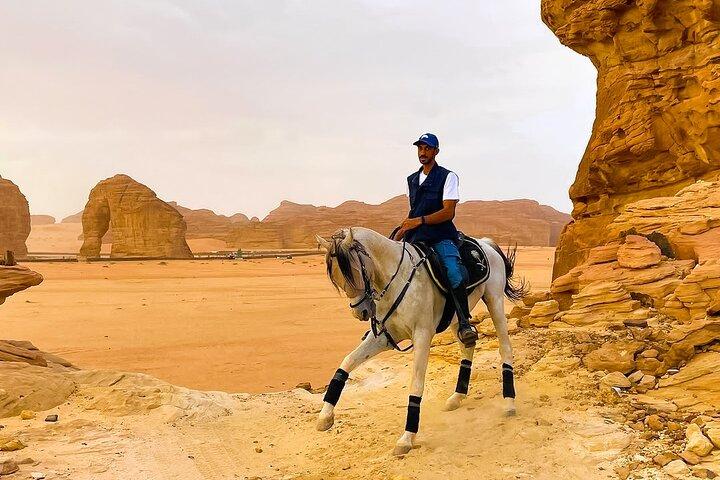 Horse Riding Experience in Riyadh | Tanomah | Jeddah | Al Ula