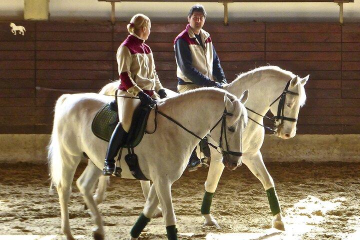 The Cradle of Lipizzaner horses - Half Day Trip from Ljubljana