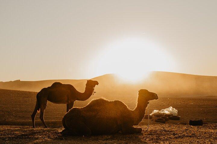 Agafay Desert Sunset, Quad, Camel and Dinner from Marrakech