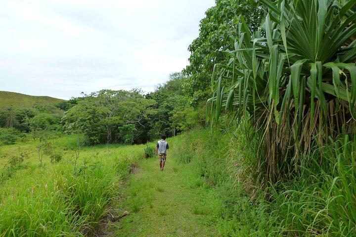 Sigatoka Sand Dune and Water Fall Nature Tour Ex Nadi Sigatoka