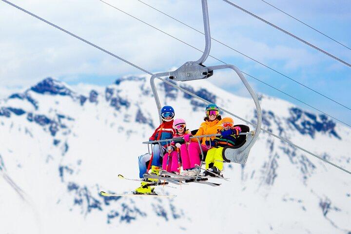 Mt Fuji Ski Resort Tour from Tokyo by Private Vehicle