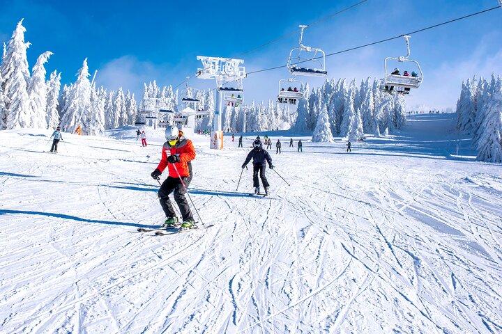 Mt Fuji Ski Resort Tour from Tokyo by Private Vehicle