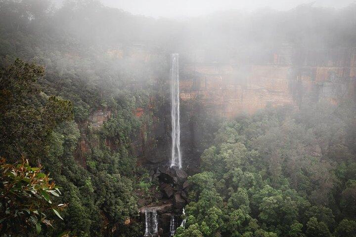Wildlife, Wineries and History || Luxury Private Tour From Sydney