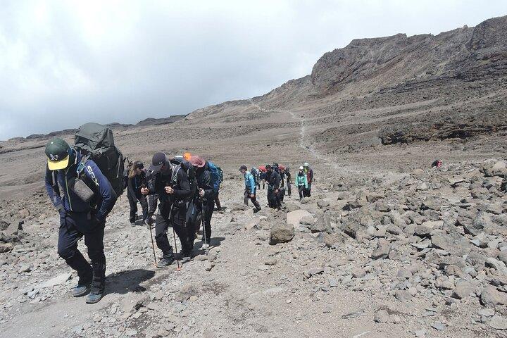 7 Days Lemosho Route Multiday Tour