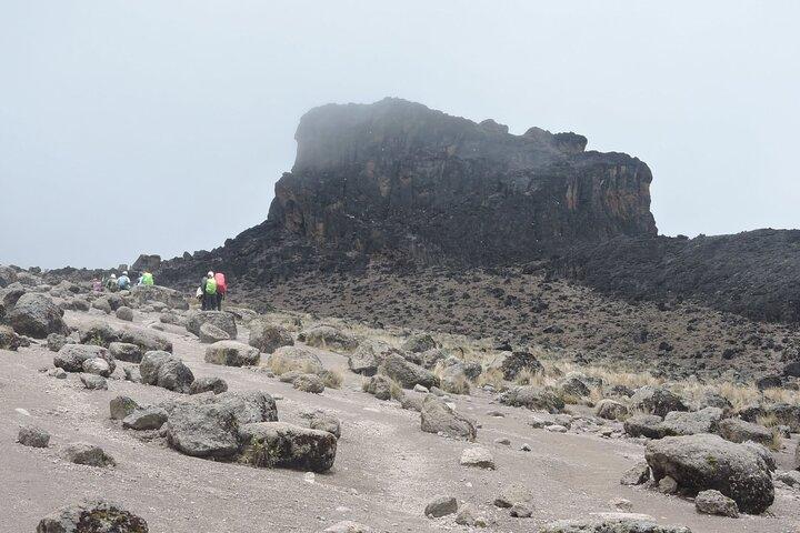 7 Days Lemosho Route Multiday Tour
