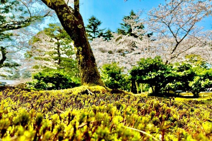 Kanazawa Full Day Private Tour to Top Highlights with Local Guide