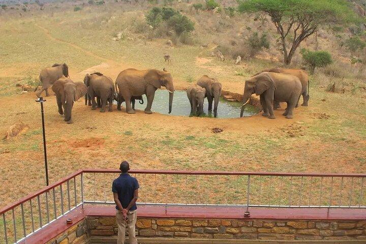 3 Days Private Tsavo East and West with Mzima Springs Safari