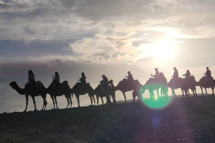 Marrakech: Agafay desert Adventure: Camel Ride, Dinner and Show