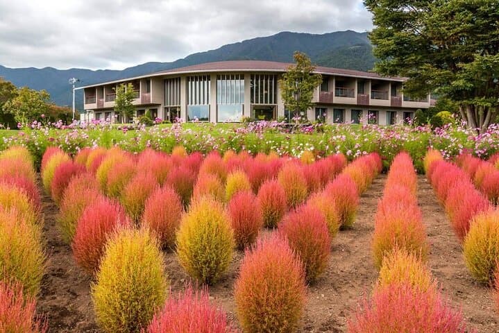 Mt Fuji Day Tour: Chureito Pagoda, Lake Kawaguchi & Oshino Hakkai