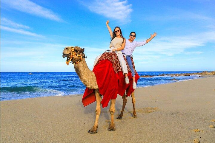 Beach UTV Adventure with Free Camel and Horseback Ride