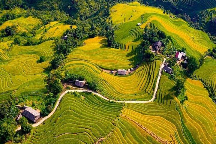 Sapa Bac Ha Market 2D1N Exclusive Tour