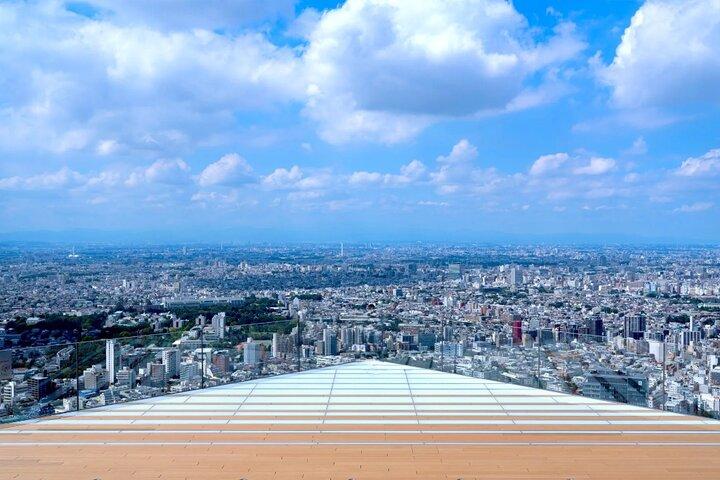 Shibuya Highlights Hachiko Scramble Meiji Jingu and Sky