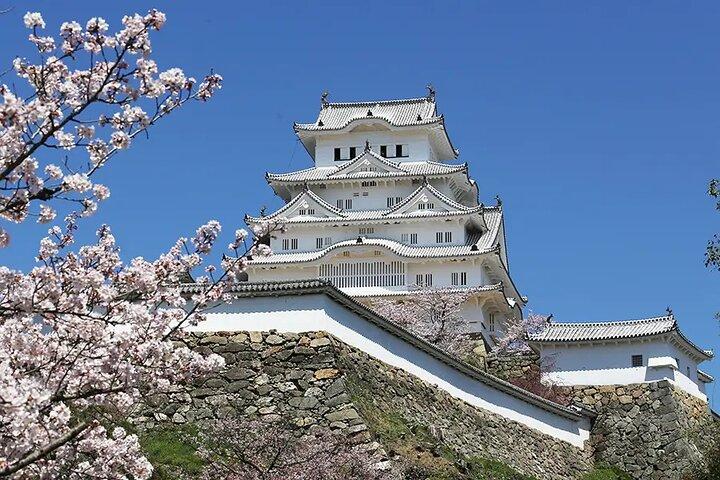 Explore Osaka Kyoto with Sightseeing Pass