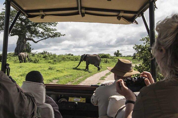 8-Days Best of Kenya Wildlife Private Safari