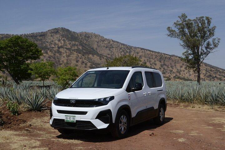 Private Airport Transfer to Guadalajara Hotels Safe & Stress-Free