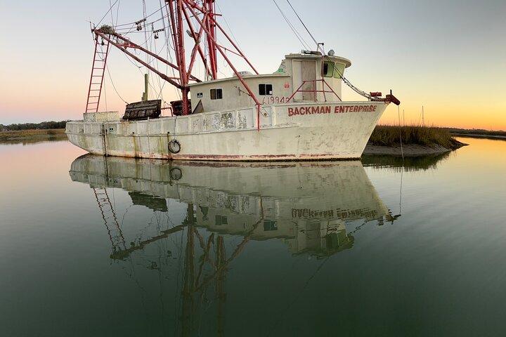 Folly Dolphin Adventure (Private or Public) to 12 guests