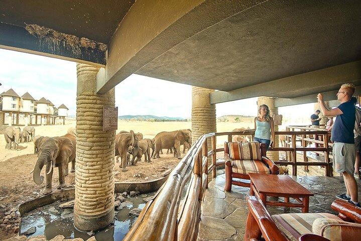 3 Days Saltlick and Tsavo West Luxury Safari from Nairobi