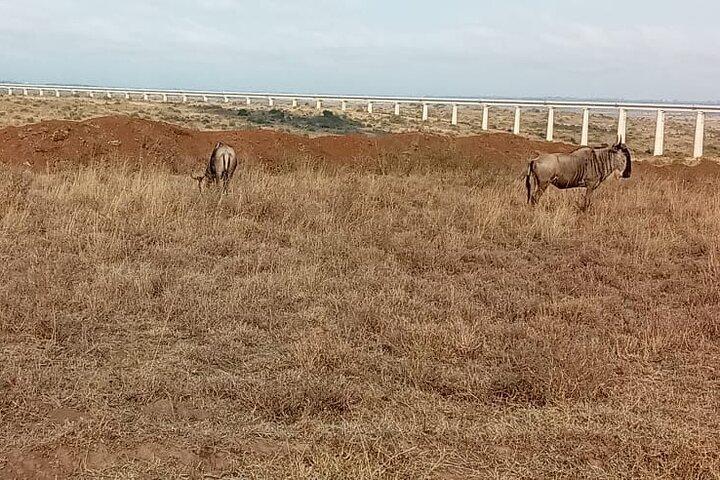 Hell's Gate NP Day Tour with Cycling and Lake Naivasha Boat Ride